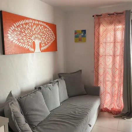 Sun 41 * 칼레타데푸스테